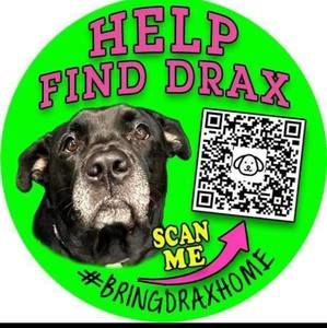 Meet your Posher, Silverforest